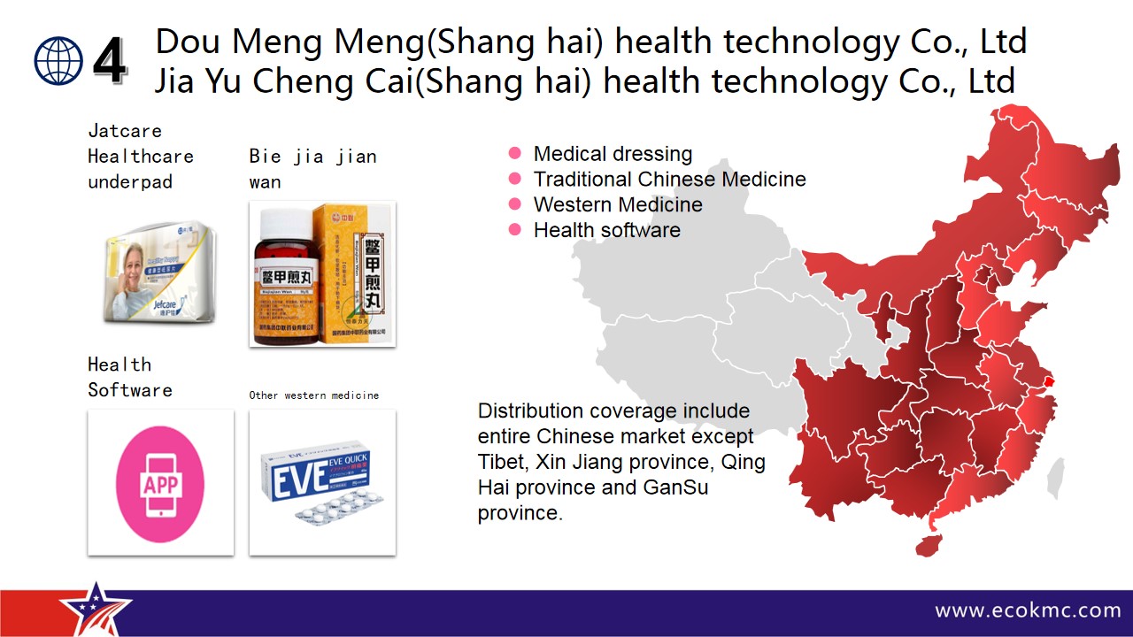 Distribution Channel(图13)